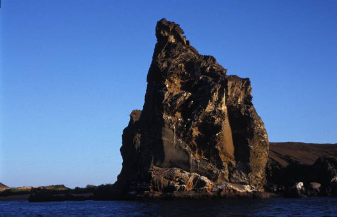 Roca