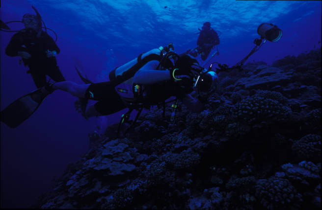 Imagen cortesía de Mike Veitch, photopro de Agressor