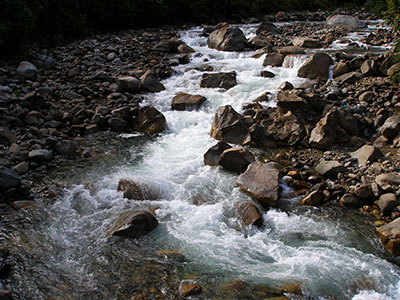 Entre las piedras