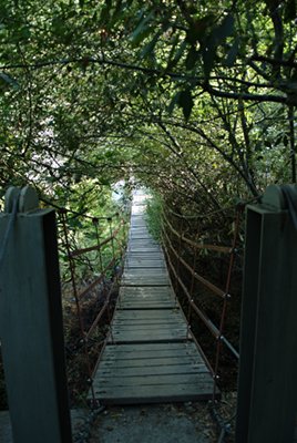 El primer puente