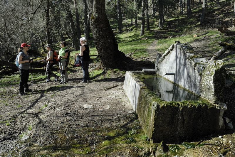 La fuente del Trampaln