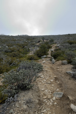 Ascenso al Collado