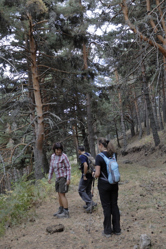 En el sendero