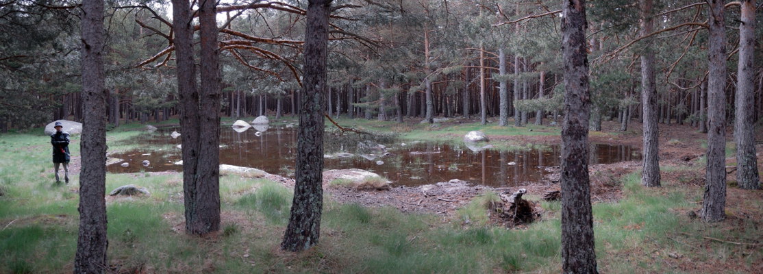 Lagunilla de El Lomo