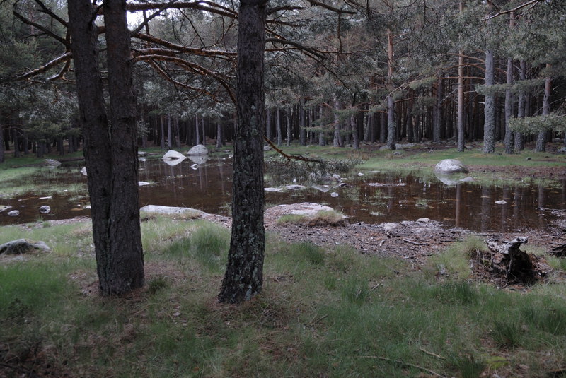 Lagunilla de El Lomo