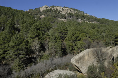 La Pedriza Posterior