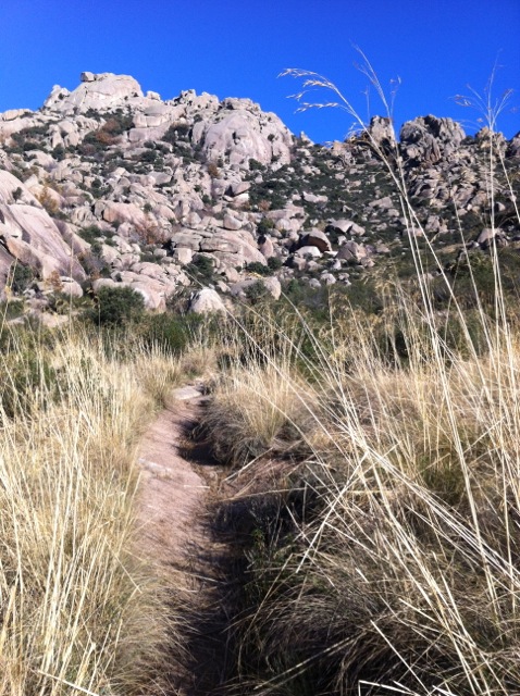 El sendero de bajada