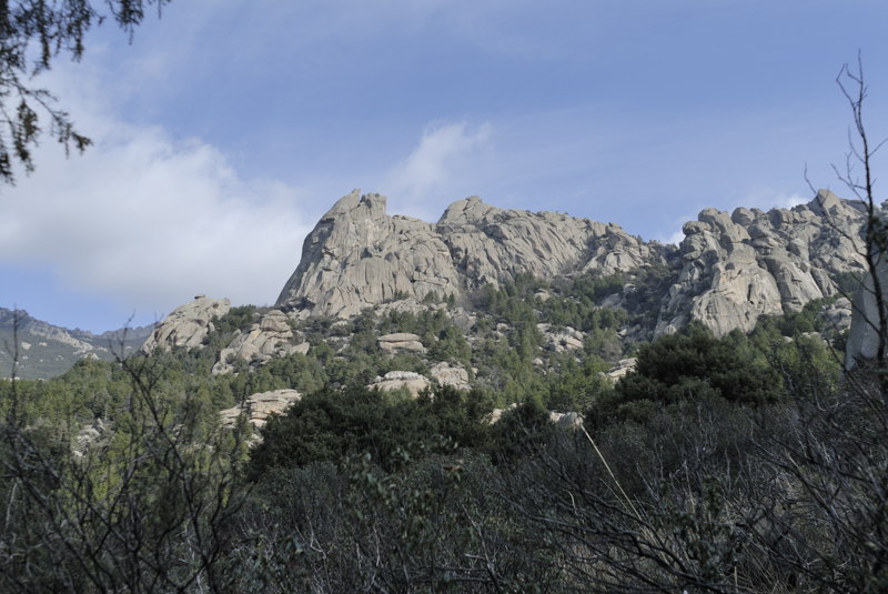 El Pjaro y el Laberinto