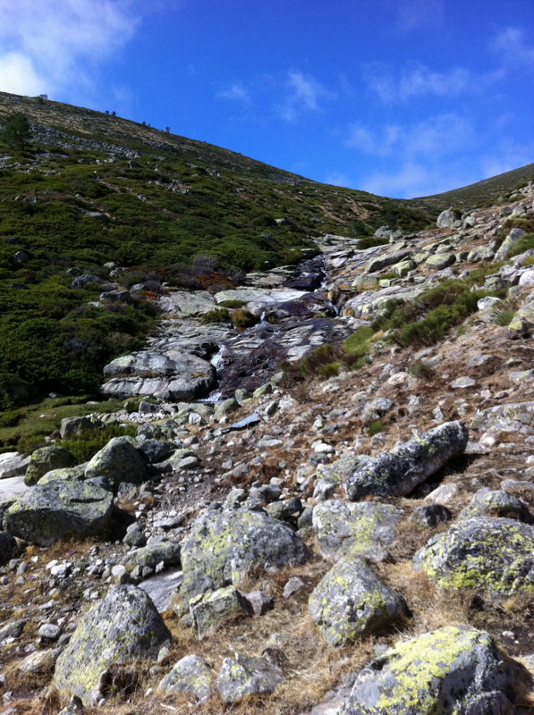 El cauce alto mirando adelante