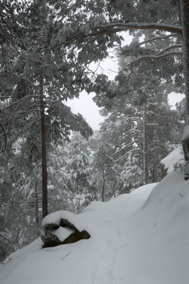 Camino Ortiz nevado