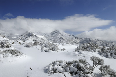 Las cumbres nevadas