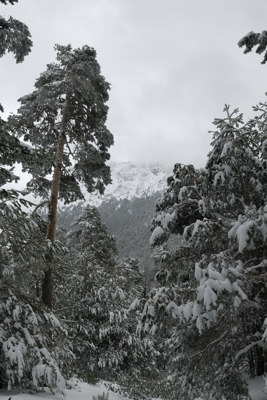 La ladera