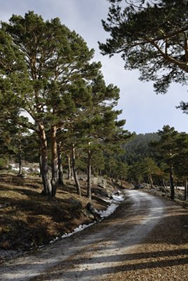 La pista de ascenso