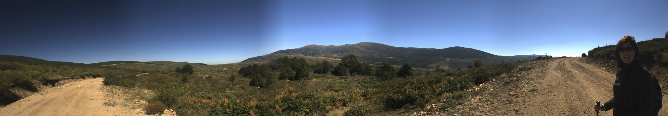 Panormica