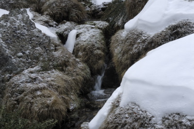 Arroyo de la Pedriza (detalle)