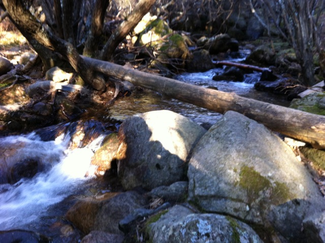 Arroyo Hoyos de la Sierra