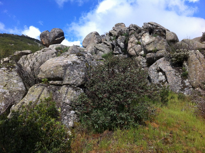 Piedra caballera