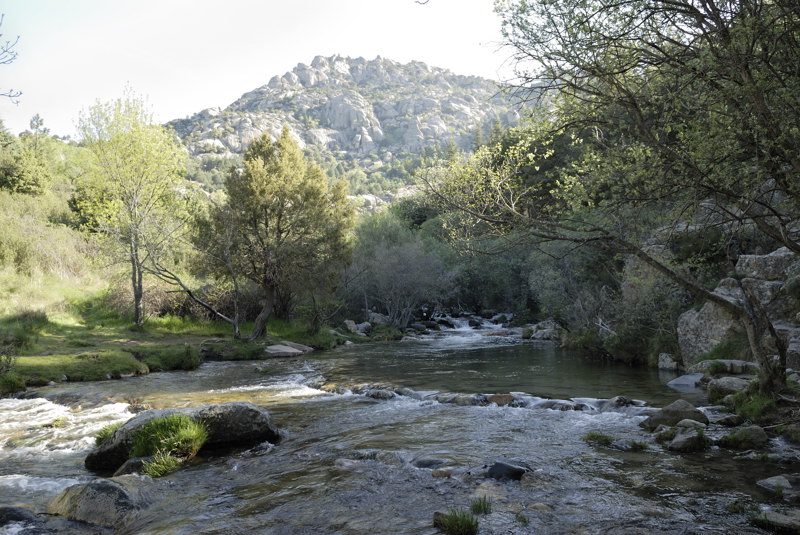 El ro Manzanares