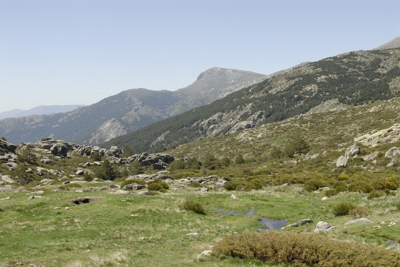 Barranco de Gavilanes con Maliciosa al fondo