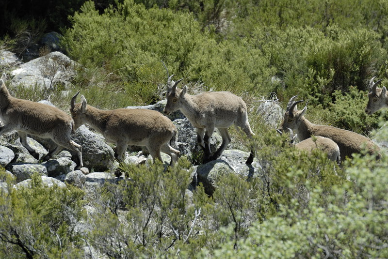 Grupo en marcha