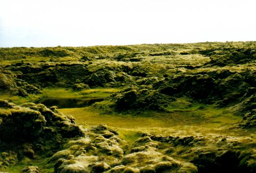 Paisaje de lava en las cercan�as de Kirkjubaejarklaustur