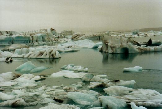 La laguna glacial (Jokulsarlon)