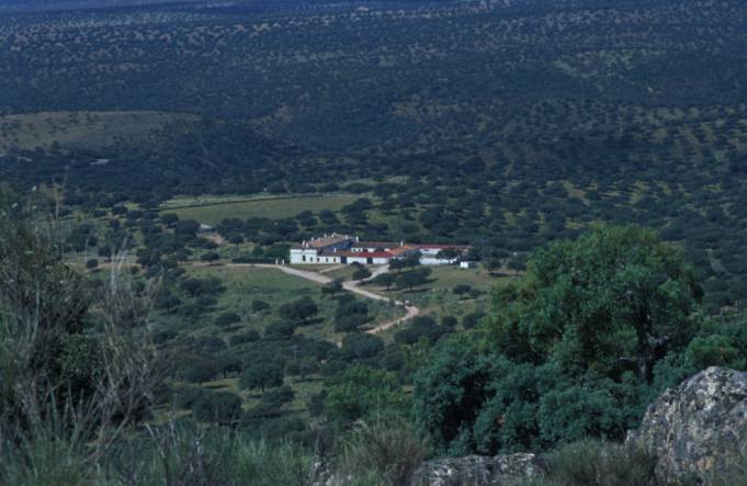 El Cortijo