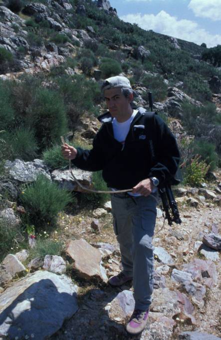 Luci bajo un alcornoque