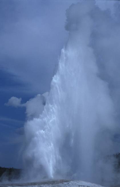 Old Faithful