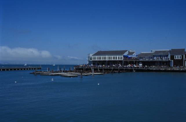 Pier 39