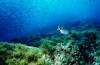 Cabo de Palos 5/6/2004