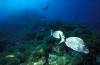 Cabo de Palos 5/6/2004