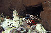 Bunaken 12/10/2004